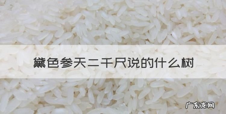 黛色参天二千尺说的什么树,霜皮溜雨四十围 黛色参天二千尺