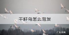 干籽乌怎么泡发，茶籽洗头怎么用