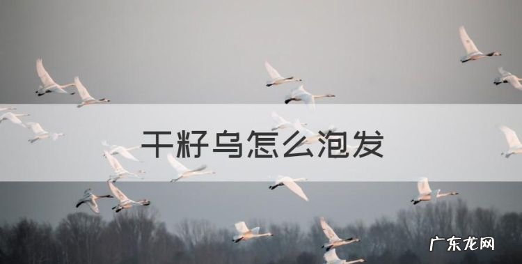 干籽乌怎么泡发,茶籽洗头怎么用