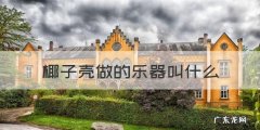 沙锤是打击乐器吗，椰子壳做的乐器叫什么