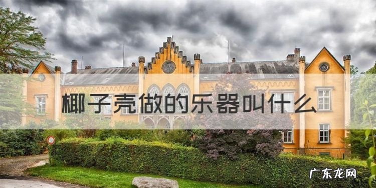沙锤是打击乐器吗,椰子壳做的乐器叫什么