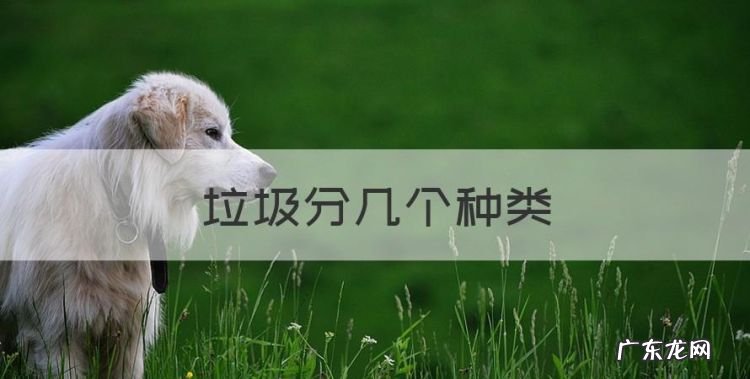 垃圾分几个种类,垃圾分为哪四大类