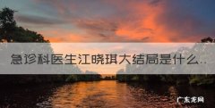 诊科医生电视剧，诊科医生江晓琪大结局是什么