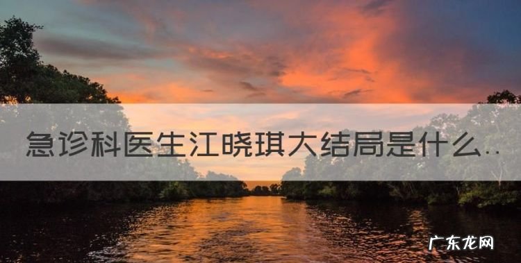 诊科医生电视剧,诊科医生江晓琪大结局是什么