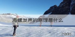 海螺发声的原理是什么，海螺为什么会发出声音来