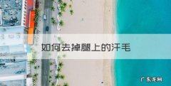 如何去掉腿上的汗毛，去除腿毛的方法不再长