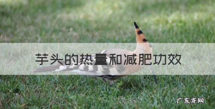 芋头的热量和减肥功效,荔浦芋头是减肥食品吗