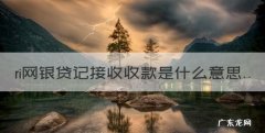 ri网银贷记接收收款是什么意思