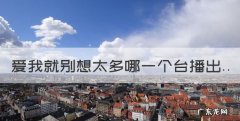 爱我就别想太多哪一个台播出，爱我就别想太多是哪个台播出的节目