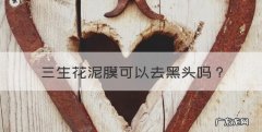 三生花泥膜可以去黑头，油皮女生使用清洁泥膜是否管用呢