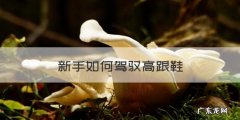 如何驾驭高跟鞋PPT，新手如何驾驭高跟鞋
