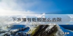 下水道有蚯蚓怎么去除