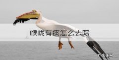 喉咙有痰怎么去除，抽烟嗓子有痰怎么去除
