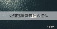 处理违章需要什么证件，处理交通违章需要带哪些证件的法律规定