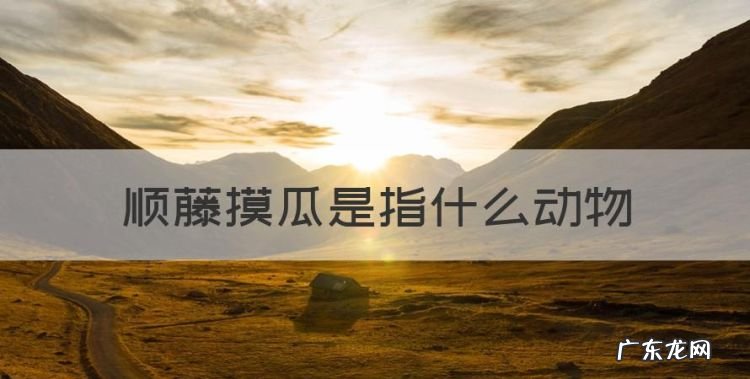 顺藤摸瓜是指什么动物，顺藤摸瓜抓主犯是什么生肖