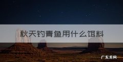 秋天钓青鱼用什么饵料，秋季钓青鱼的方法和技巧