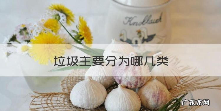 垃圾主要分为哪几类,垃圾可以分为哪几类