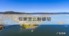 在家怎么种番茄，种西红柿的方法和过程