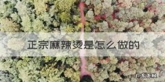 麻辣烫怎么做，正宗麻辣烫是怎么做的