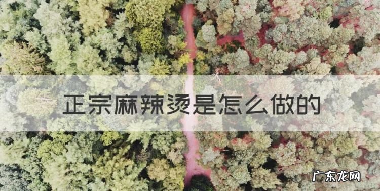 麻辣烫怎么做,正宗麻辣烫是怎么做的
