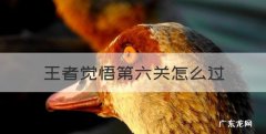 王者觉悟第六关怎么过，王者荣耀觉悟怎么快速过关