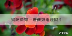 消防负荷一定要双电源，消防泵控制柜机械应急启动装置