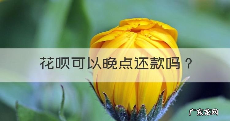 花呗可以晚点还款
