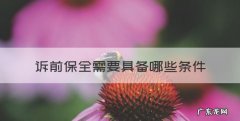 诉前保全的条件，诉前保全需要具备哪些条件