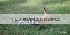 什么叫意动用法和使动用法