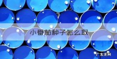 怎么种小番茄，小番茄种子怎么取
