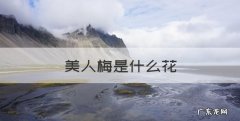 美人梅是什么花，原生美人梅和嫁接美人梅