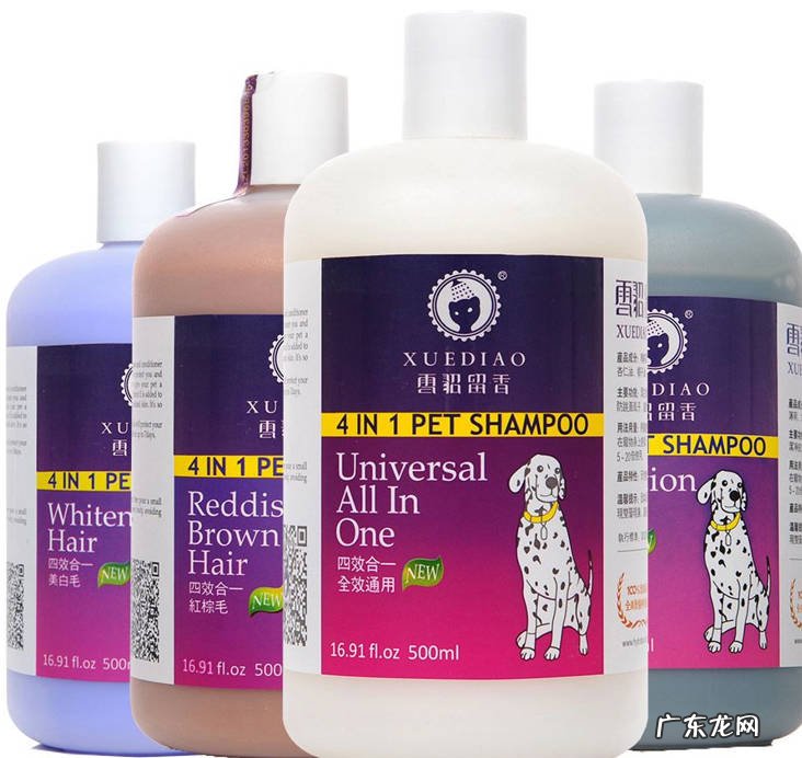 定期梳理 怎么减少金毛毛发的脱落