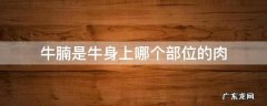 牛腩是牛身上哪个部位的肉 牛腩是牛身上的哪个部分的肉