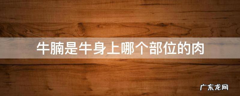 牛腩是牛身上哪个部位的肉 牛腩是牛身上的哪个部分的肉