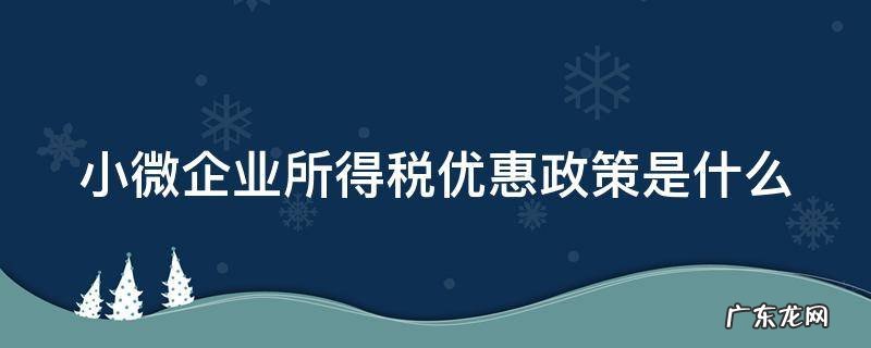 小微企业所得税优惠政策是什么 小微企业所得税优惠政策是什么时候实施