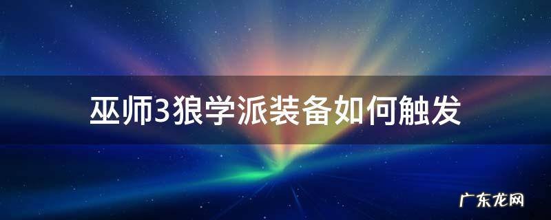 巫师3狼学派装备如何触发 巫师三狼学派装备触发