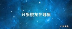 只狼樱龙打完去哪 只狼樱龙在哪里