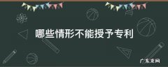 哪些情形不能授予专利权? 哪些情形不能授予专利
