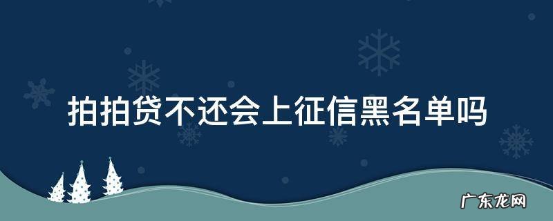 拍拍贷不还会上征信黑名单吗 拍拍贷上征信黑名单会怎样