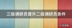 三级调研员晋升二级调研员条件 三级调研员晋升二级调研员条件 合并计算