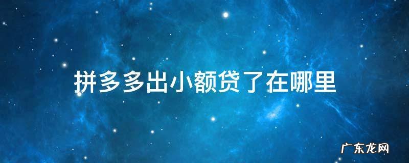拼多多出小额贷了在哪里 拼多多小额贷款在哪