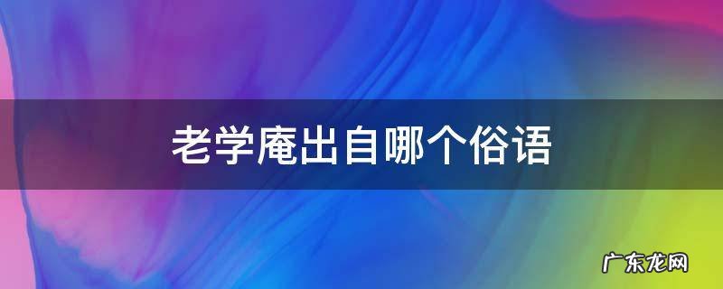 老学庵笔记的意思 老学庵出自哪个俗语