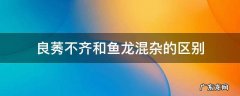 良莠不齐和鱼龙混杂的区别 鱼龙混杂和良莠不齐泥沙俱下