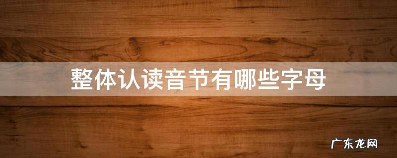 整体认读音节有哪些字母图片 整体认读音节有哪些字母