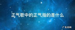 正气歌中的正气指的是什么 正气歌中的正气是什么意思
