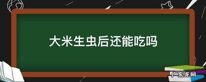 大米生虫后还能吃吗 大米生虫子之后还能吃吗