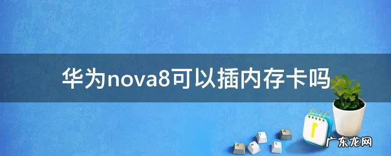 华为nova8se可以插内存卡吗 华为nova8可以插内存卡吗