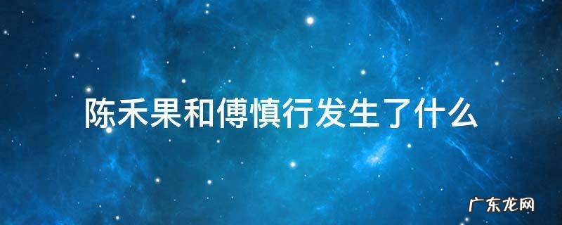 陈禾果和傅慎行发生了什么小说 陈禾果和傅慎行发生了什么