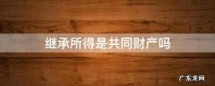 继承所得是共同财产吗 共同所有财产在继承时的处理