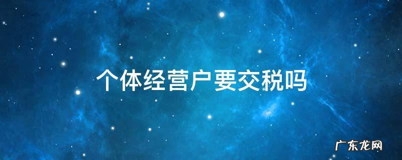 个体经营户要交哪些税 个体经营户要交税吗